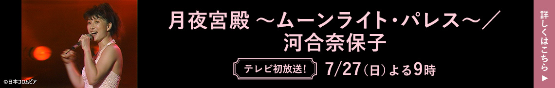 月夜宮殿 〜ムーンライト・パレス〜／河合奈保子