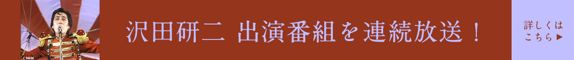 Banner btn
